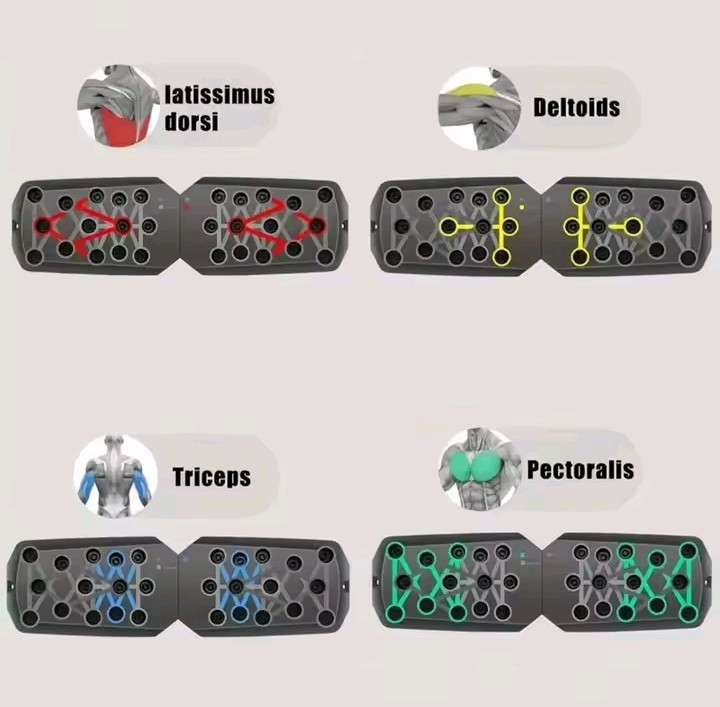 Diagram showing grip positions for latissimus dorsi, deltoids, triceps and pectorals